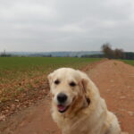 DSCN0511.JPG
