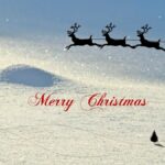 KVÍZ: Feliz Navidad nebo Vesel božič