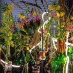Světová floristika na jarní výstavě Flora Olomouc