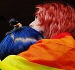 Šestnáct států EU včetně Česka kritizuje maďarské zákony proti LGBT+