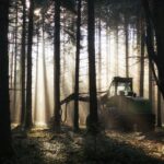 Hnutí DUHA: Ministr Červený chce pustit do divočiny národních parků harvestory