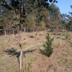 Mezinárodní den biologické rozmanitosti: ČSOP podpoří přes stovku projektů pomáhajících biodiverzitě v Česku
