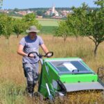 Využití semenných směsí při obnově biotopů v Národním parku Podyjí