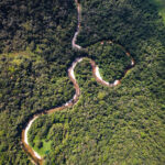 V pěti zemích Amazonie zatkli stovky lidí kvůli environmentální kriminalitě