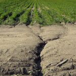Zemědělská půda je z 50 procent ohrožena vodní erozí a z více než 30 procent větrnou